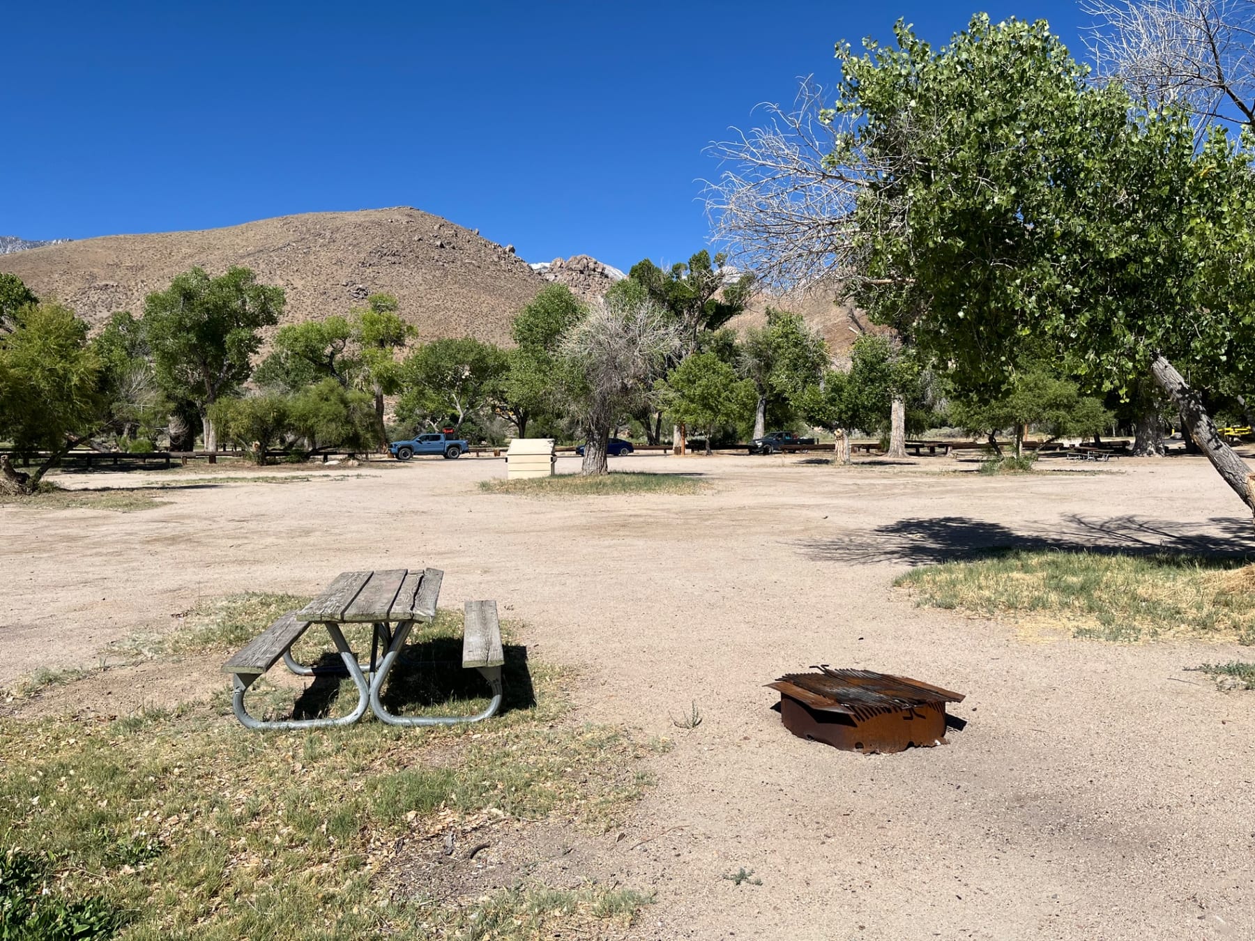 Picnic table and fire ring at Diaz Lake Campground under desert cottonwood trees