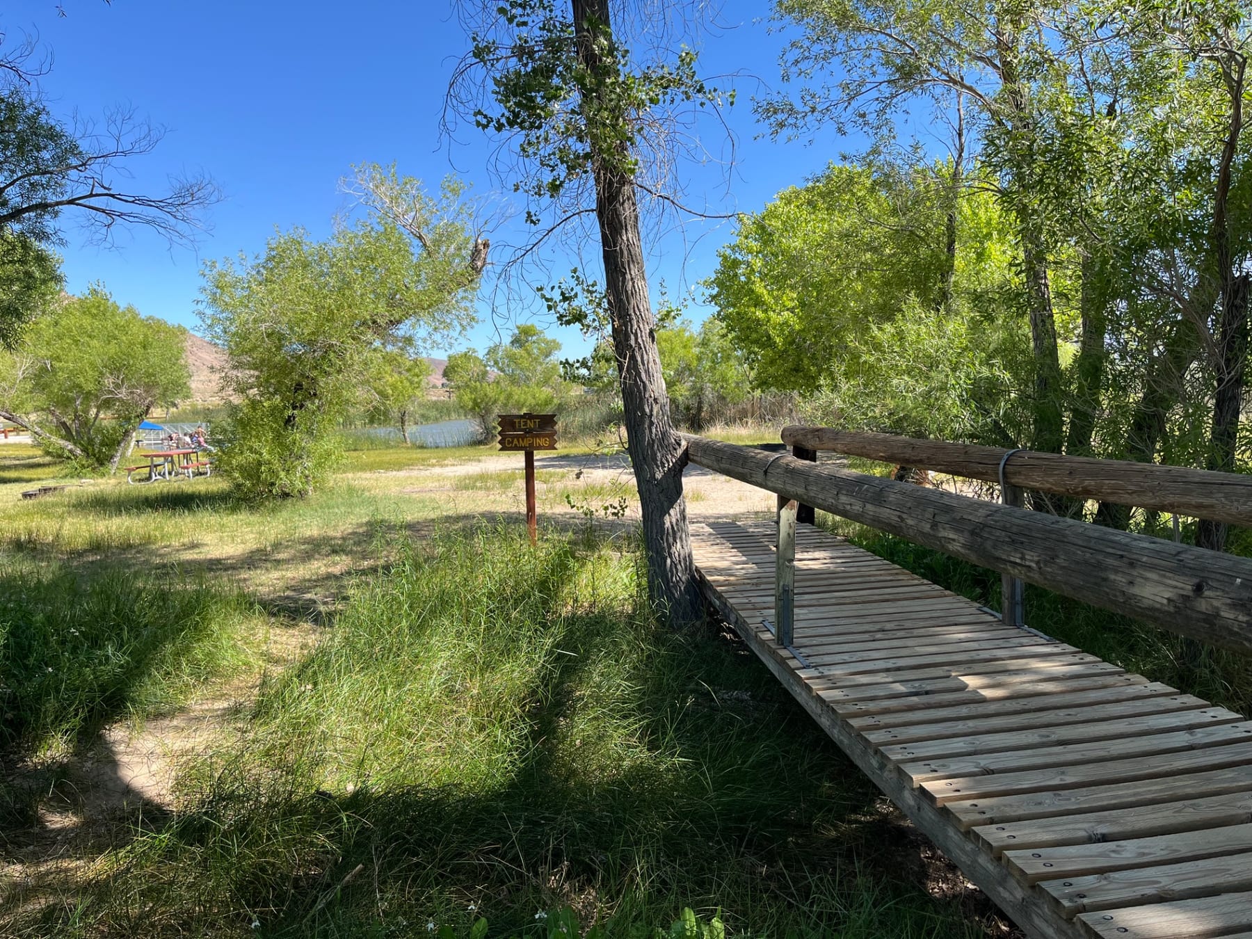 Boardwalk path leading to Diaz Lake with trees and water visible